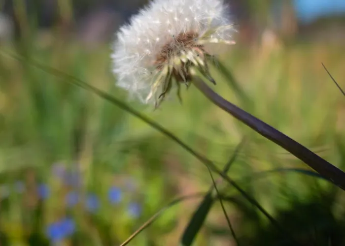 בקתה Apanowka Z Balia Jacuzzi Sauna *